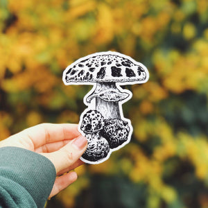 Mushroom I Vinyl Sticker