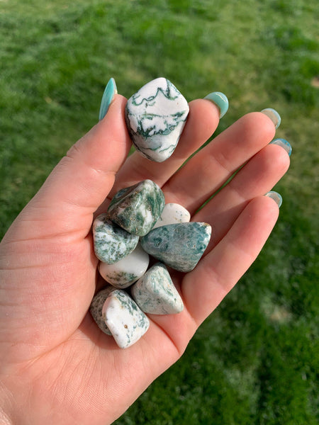 Tree Agate Tumble