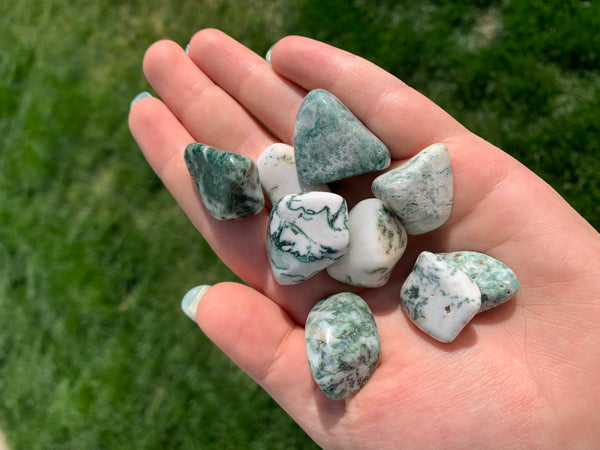 Tree Agate Tumble