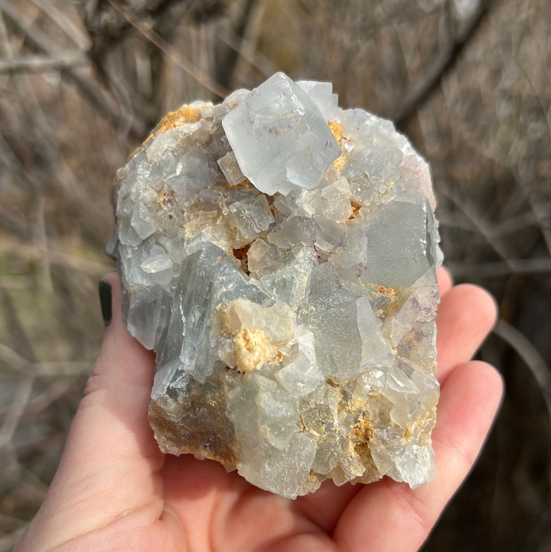 Moroccan Cubic Fluorite