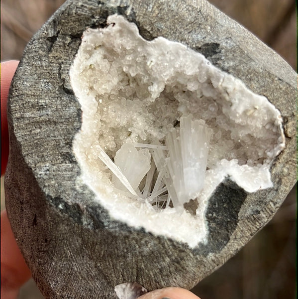 Cut Base Scolecite