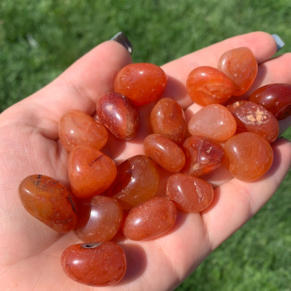 A Grade Carnelian Tumbles