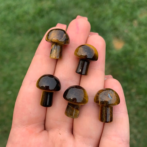 Tigers Eye Mushroom