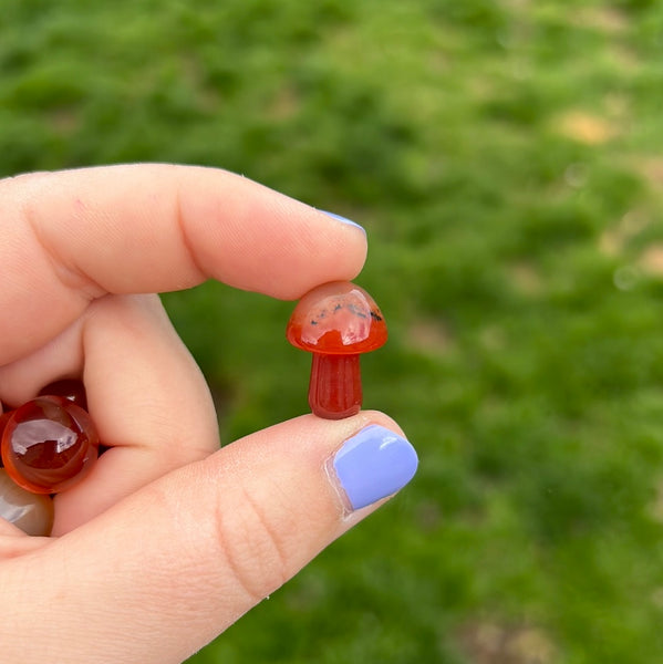 Carnelian Mushrooms