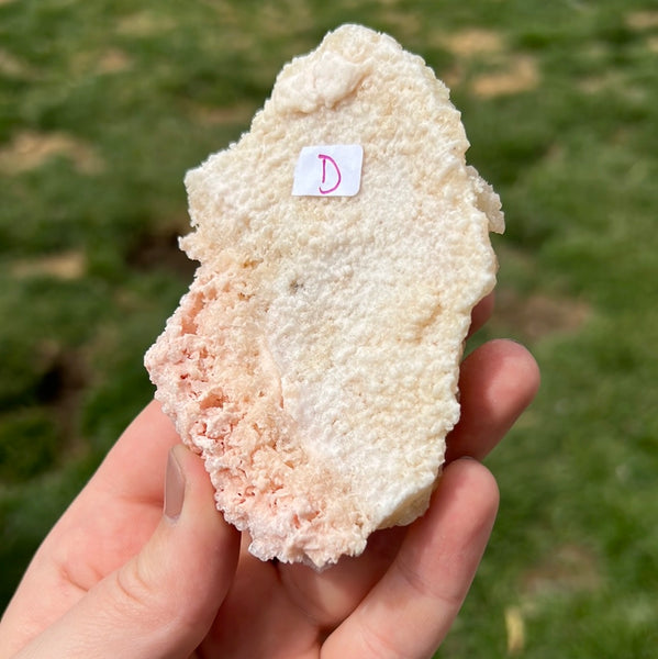 Pink Halite - D