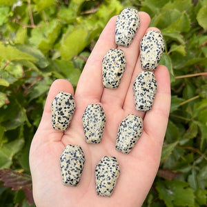 Mini Dalmatian Jasper Coffin