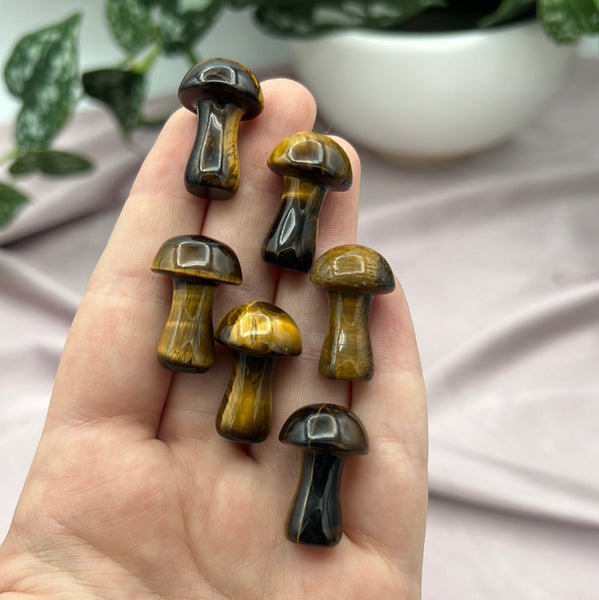 Tigers Eye Mushroom (taller)