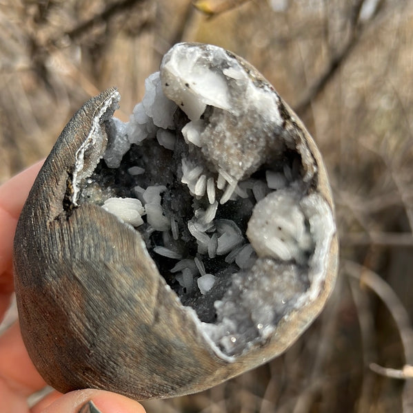 Cut Base Black Chalcedony