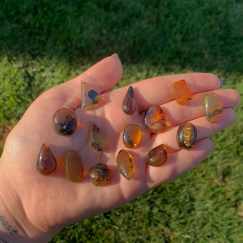 Chiapas/Mexican Amber