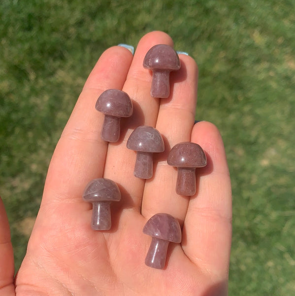 Red (Strawberry) Aventurine Mushroom