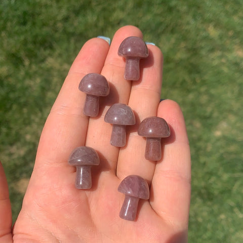 Red (Strawberry) Aventurine Mushroom