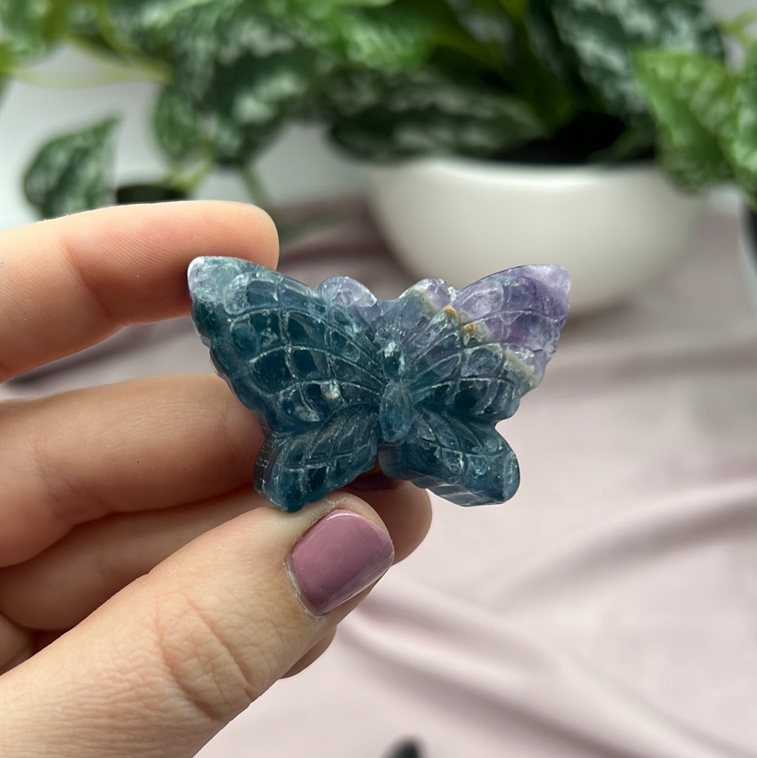 Rainbow Fluorite Butterfly