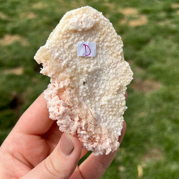 Pink Halite - D