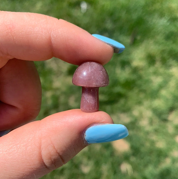 Red (Strawberry) Aventurine Mushroom