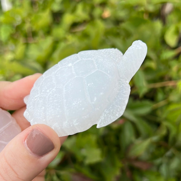 Satin Spar/Selenite Turtle Carving