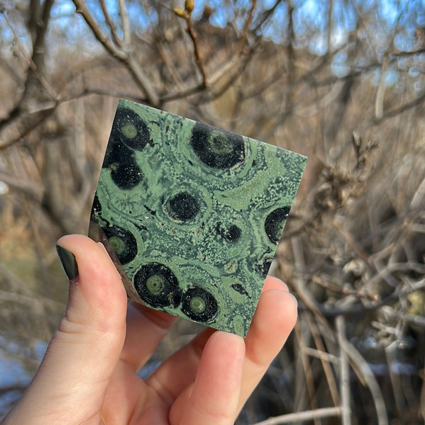 Kambaba Jasper Cube - C