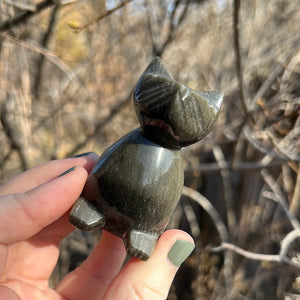 Gold Sheen Obsidian Cat Carving