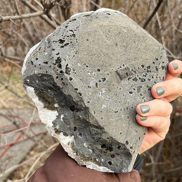 Apophyllite & Black Chalcedony Cluster