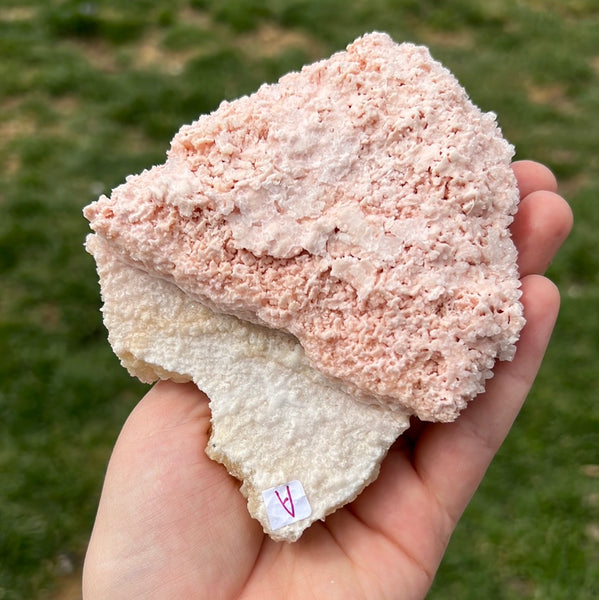 Pink Halite - A