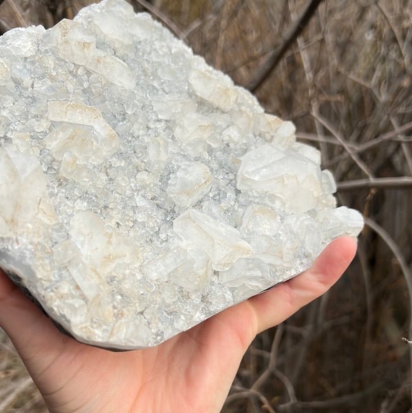 Apophyllite & Black Chalcedony Cluster