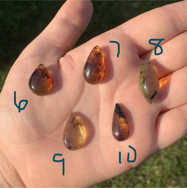 Chiapas/Mexican Amber