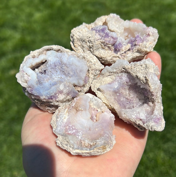 Chalcedony + Fluorite Geode