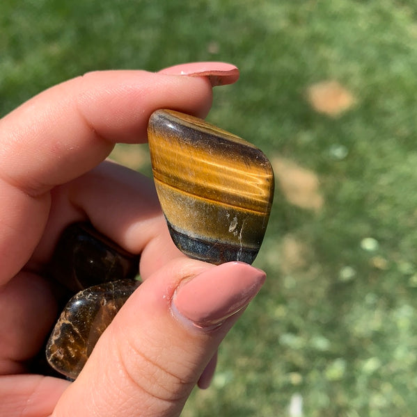 Tigers Eye Tumbles