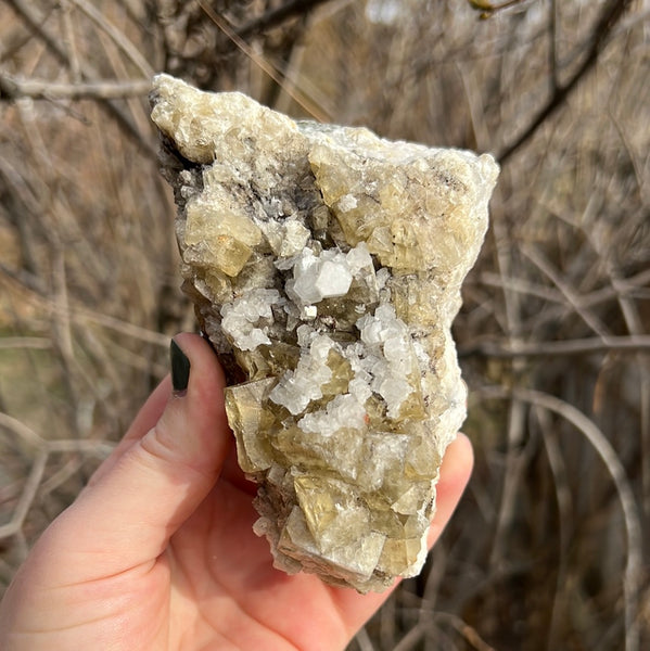 Moroccan Cubic Fluorite