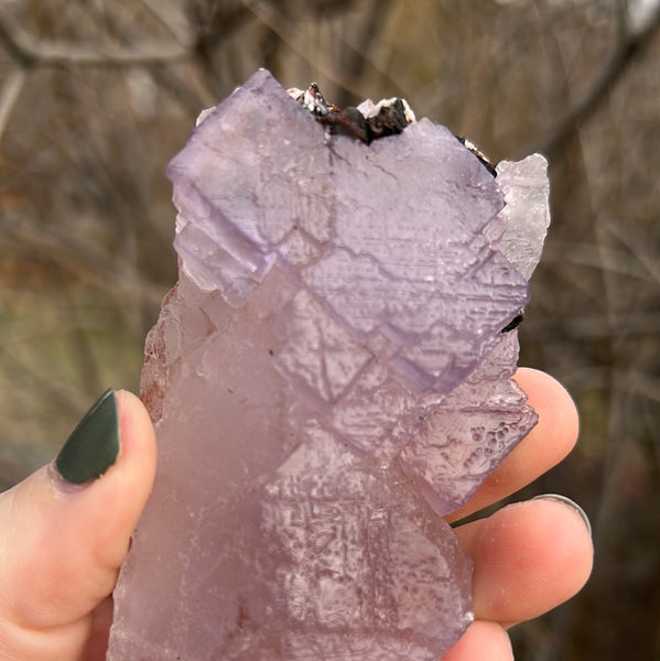 Purple Cubic Fluorite