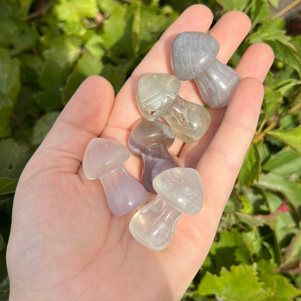 Lavender Purple Fluorite Mushroom