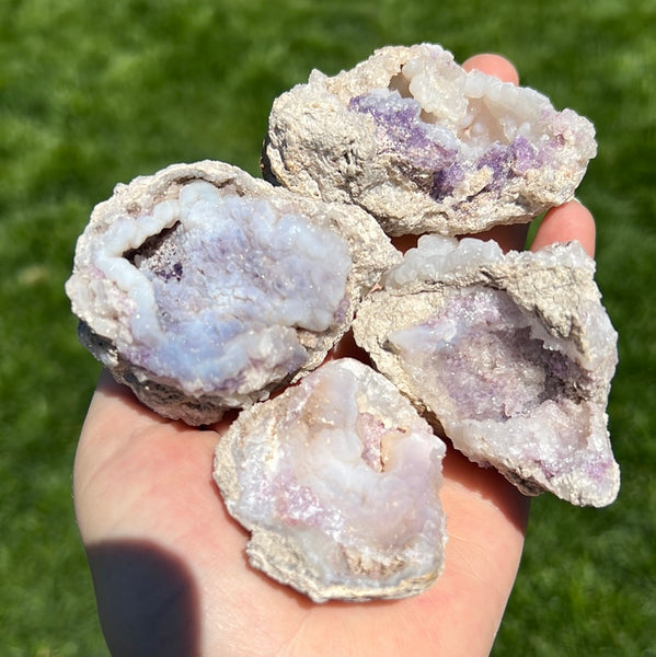 Chalcedony + Fluorite Geode