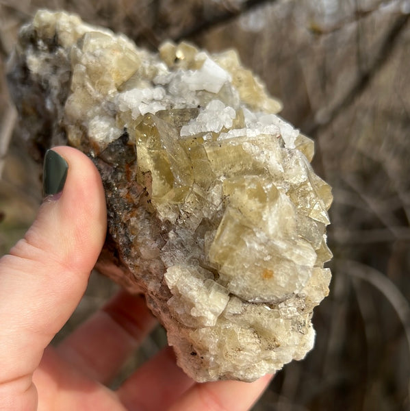 Moroccan Cubic Fluorite