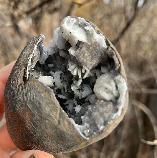 Cut Base Black Chalcedony