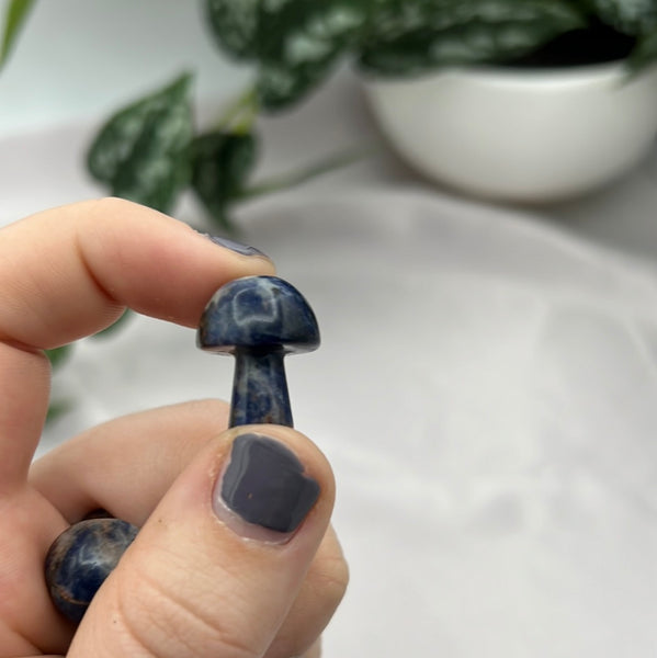 Sodalite Mushroom