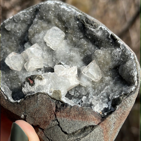 Cut Base Black Chalcedony