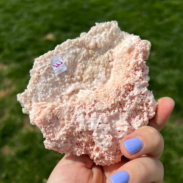 Pink Halite - E