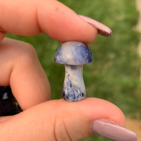 Sodalite Mushroom