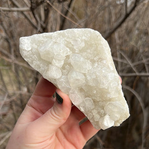 Apophyllite Cluster