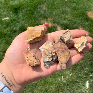 Rough/Raw Petrified Wood