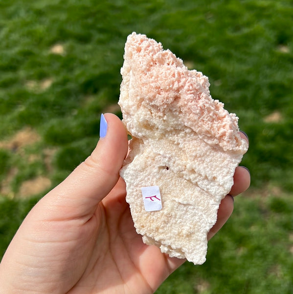 Pink Halite - F