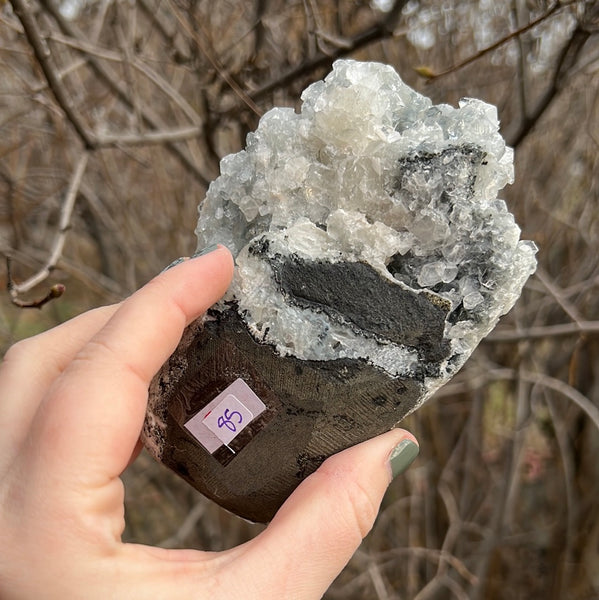 Apophyllite Cluster