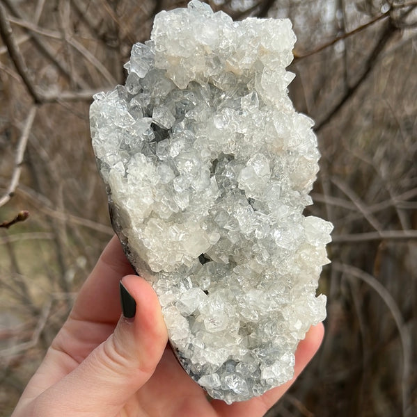 Apophyllite Cluster