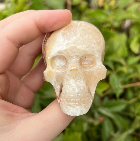 Medium Onyx Skull - E