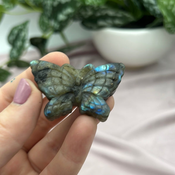 Labradorite Butterfly