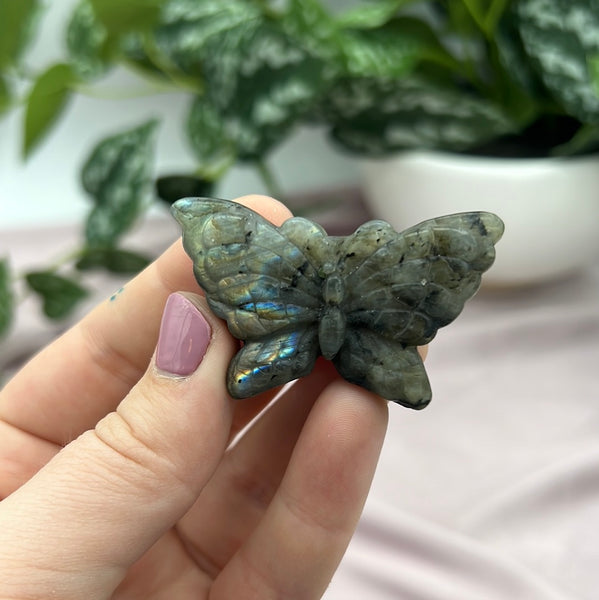 Labradorite Butterfly