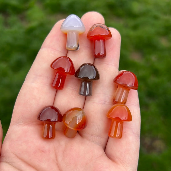 Carnelian Mushrooms