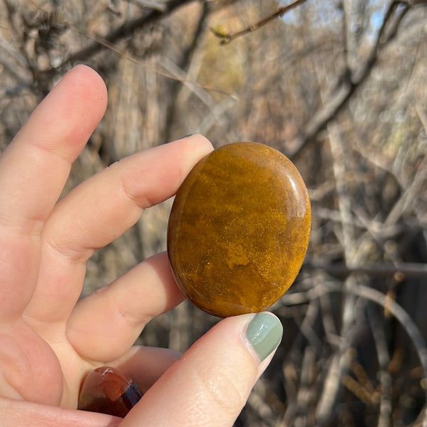 Ocean Jasper Worrystone