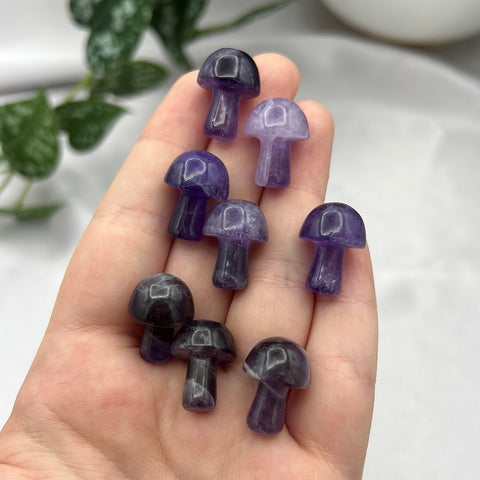 Amethyst Mushroom