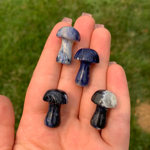 Sodalite Mushroom