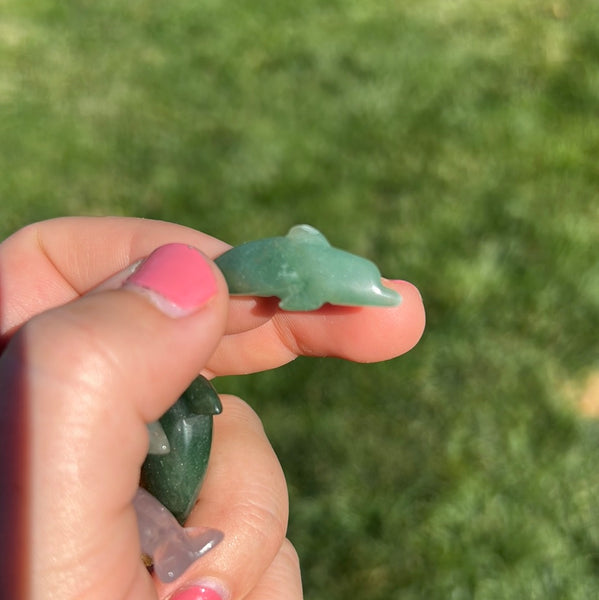 Mini Dolphin Carving